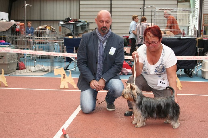 des Fleurons D'Or - N.E. 2014 justine avec le juge à la finale
